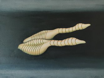 "Swan" Acrylic, 75x55cm, 5.600 DKK